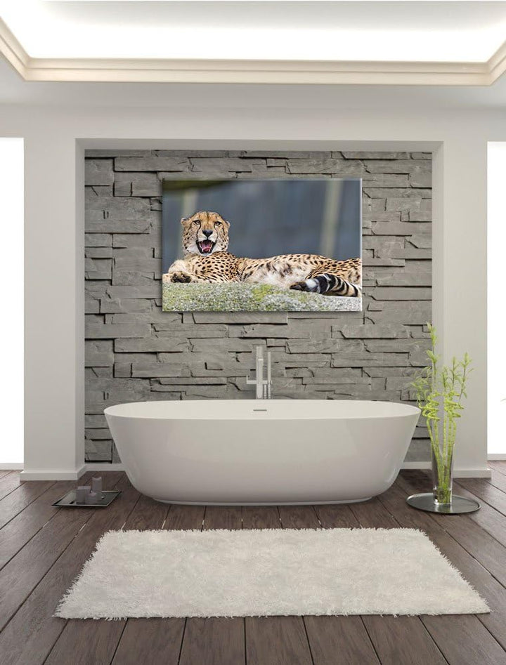 Pixxprint schlafender Gepard auf Leinwand, XXL riesige Bilder fertig gerahmt mit Keilrahmen, Kunstdr