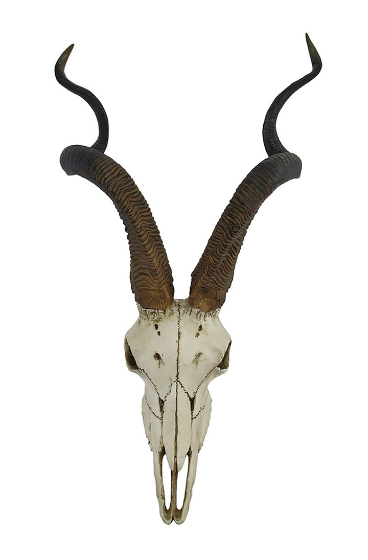 Things2Die4 african kudu antelope totenkopf wandsticker zum aufh?ngen cool twisted hörner Knochenfar
