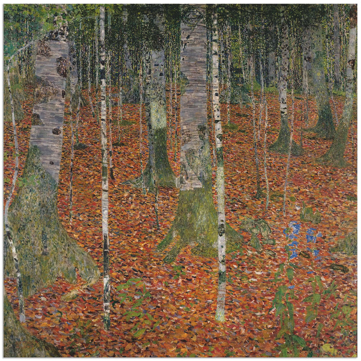 ARTland Wandbild Alu Verbundplatte für Innen &amp; Outdoor Bild 50x50 cm Landschaften Wald Bäume Birke B
