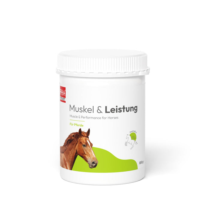 PHA Muskel &amp; Leistung Pferd, Ergänzungsfutter zur Unterstützung von Muskelaufbau und Leistungsfähigk