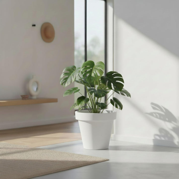 Spetebo Kunststoff Pflanzkübel L rund Ø 48 cm - weiss - Blumenkübel gross für Aussen und Innen - Gar