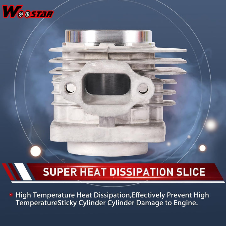 WOOSTAR 44mm Grosse Bohrung Zylinder mit Luftfilter mit Zündspule und Kolbenmotor Umbausatz Ersatz f