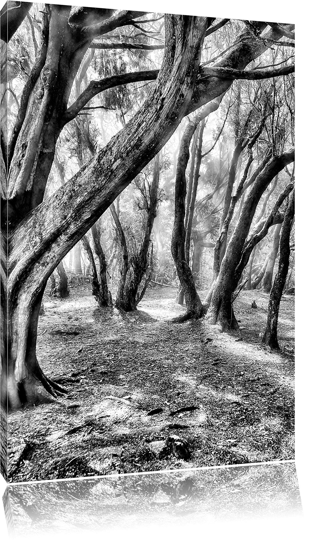 Monocrome, Wald, Format: 100x70 auf Leinwand, XXL riesige Bilder fertig gerahmt mit Keilrahmen, Kuns