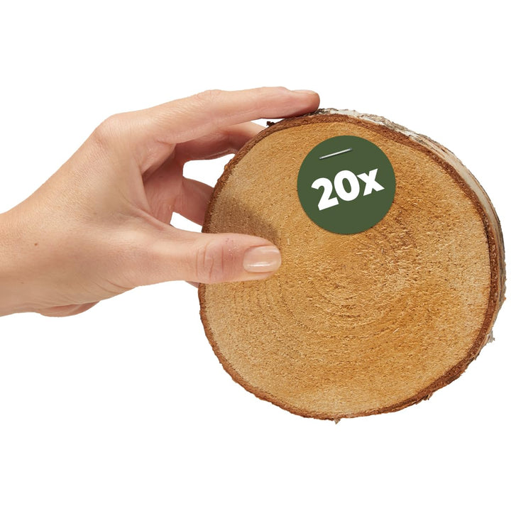 Kleine Holzscheiben 12 cm zum Holz-Deko Basteln - 20 Stk. runde EU Birkenholz Baumscheiben 20 Ø 12 -