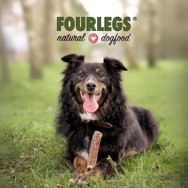 FOURLEGS® natürlicher Kausnack für Hunde aus 100% Hirschgeweih - Mineralstoffe, Kauspielzeug, Kausta