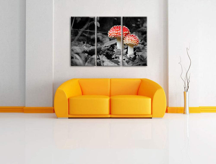 zwei kleine Fliegenpilze im Wald schwarz/weiss 3-Teiler Leinwandbild 120x80 Bild auf Leinwand, XXL r