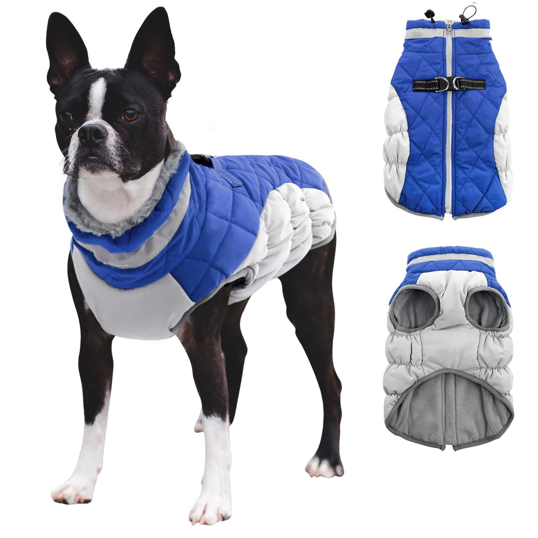 CITÉTOILE Hundemantel Winter,Hundejacke mit Geschirr, Wasserdicht Hundemantel mit Fleece Gefütterte