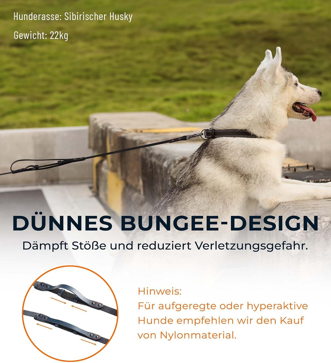 Culacos Leder Hundeleine - Handgemachte 1,3m mit 2-Griff-Design für kleine und mittelgrosse Hunde, B