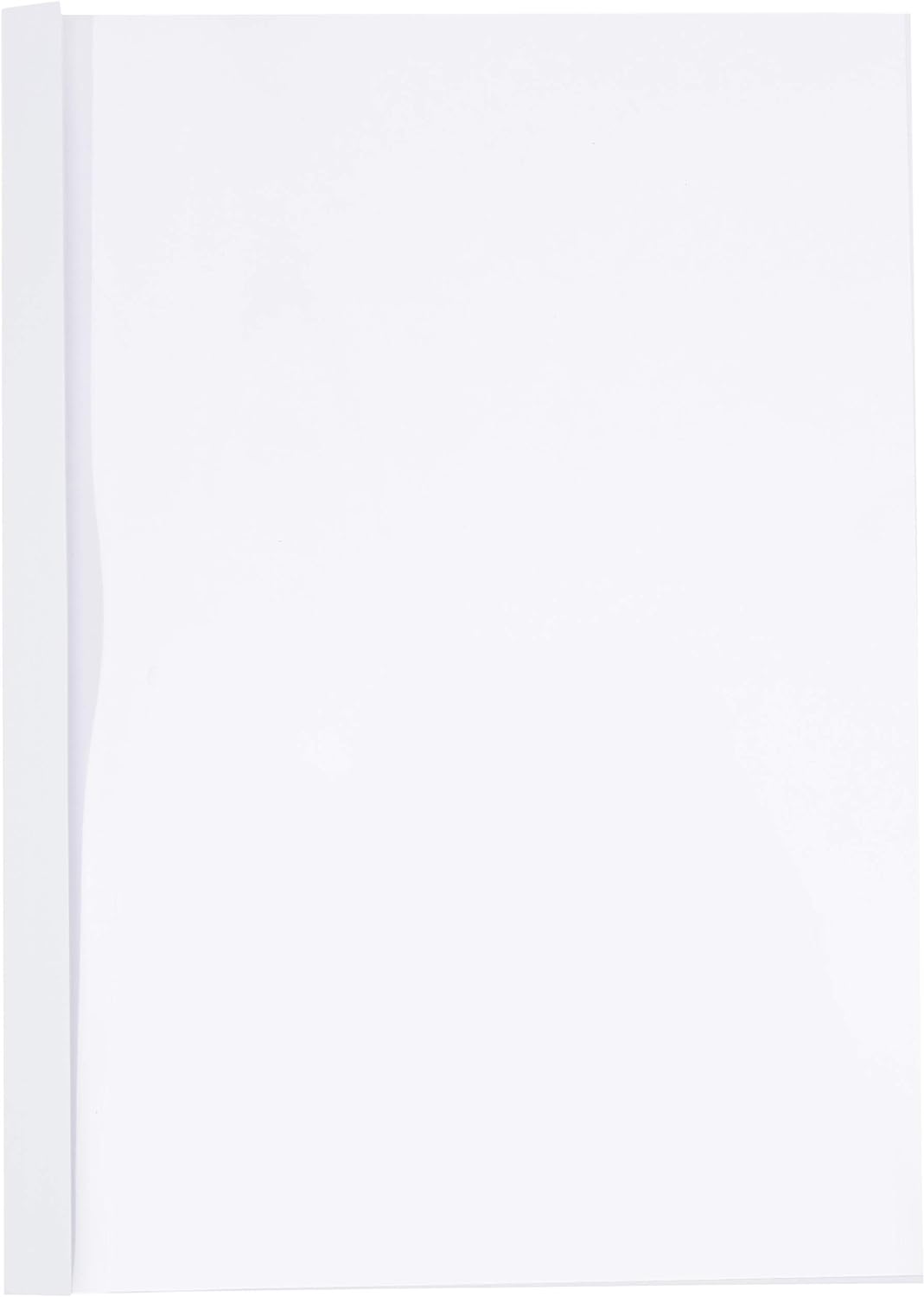 Leitz 177159 Thermobindemappe Standard, A4, Rückenbreite 3 mm, 100 Stück, weiss