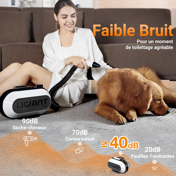 P40 Hundefön Blower, Ultra-Leise (40 dB Katzen-Modus), 3-in-1 Düsen, Einstellbare Geschwindigkeit &