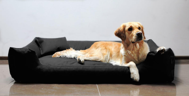 tierlando Moritz Hundebett Hundesofa M - XXXL 90 110 130 160 185 cm Grösse: M3 / M 80cm | Bezug: Pol