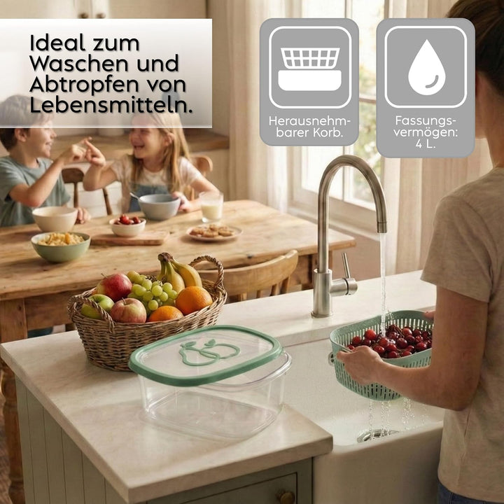Snips Aroma Keeper Früchte, Kunststoff, Grün, 4 LT - rechteckig 4 LT - rechteckig Grün, 4 LT - recht
