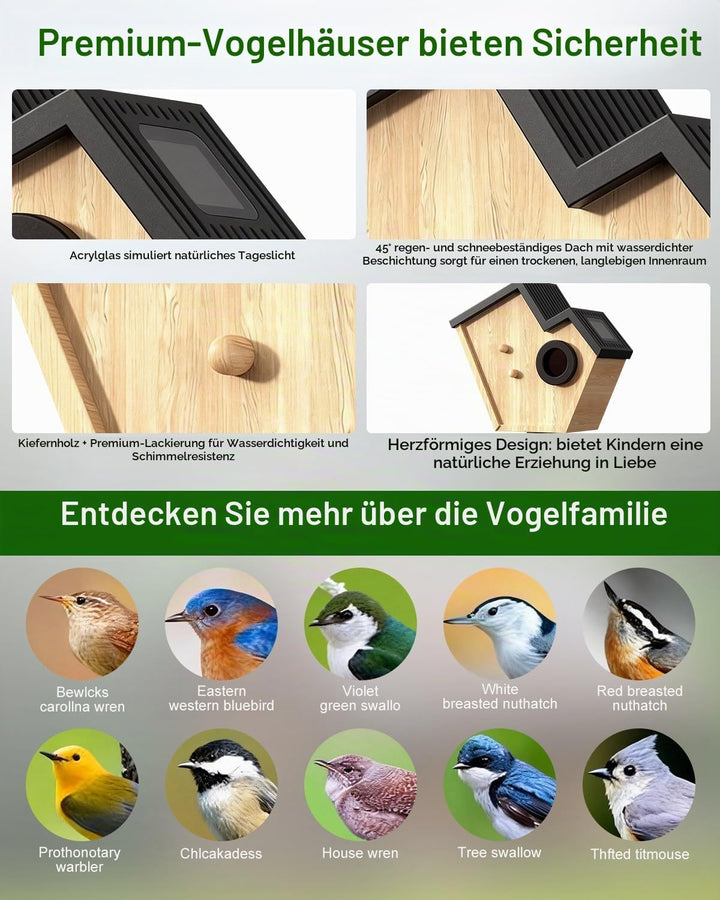 Nistkasten mit HD Kamera Solarbetriebenes, Live Stream Al Vogelbestimmer, Beobachten Sie das Nisten