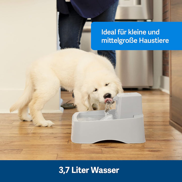 PetSafe 3,7 Liter Trinkbrunnen Drinkwell für Hunde und Katzen, Duales Filtersystem, aus BPA-freiem K