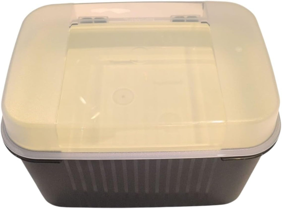 Tupperware Naschkätzchen Schatztruhe Apollo 7300ml 7,3 Liter olivgrün mit Einsatz box behälter Plätz