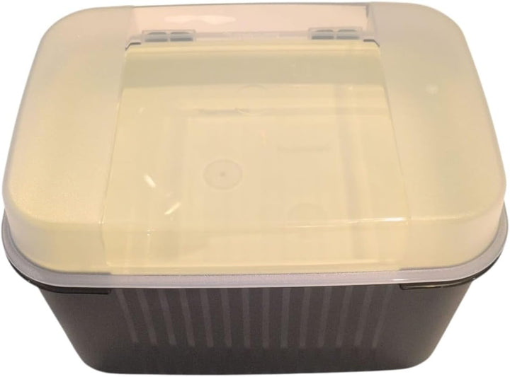 Tupperware Naschkätzchen Schatztruhe Apollo 7300ml 7,3 Liter olivgrün mit Einsatz box behälter Plätz