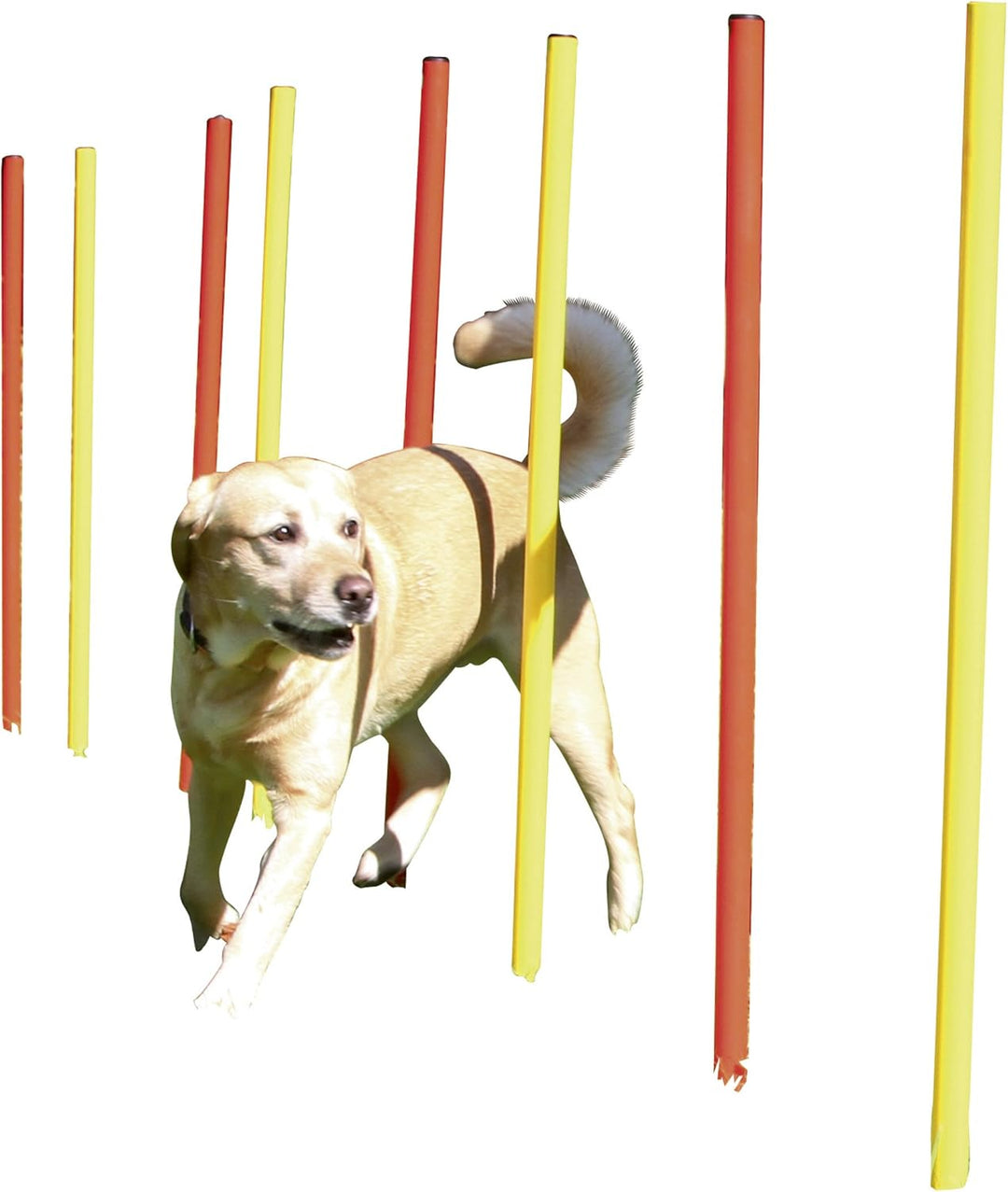Kerbl Pet Agility Komplett-Set 3-teilig, rot/gelb