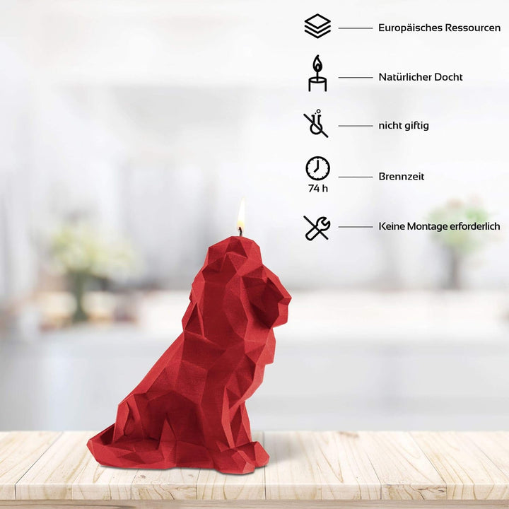 Candellana Handmade Lion Low-Poly Kerze Geschenk- Lustig - Dekorative Kerze - Home Décor - Geschenke
