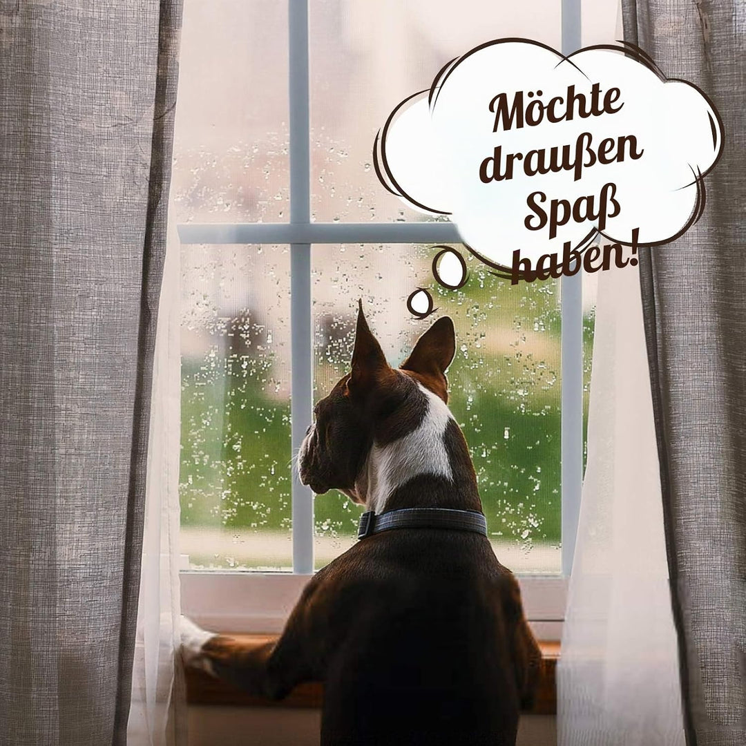 Enjoying Hunde Regenschirm für Kleine Hunde, Kleiner Hundeschirm mit Leine, Regenschirm für Hunde Sp
