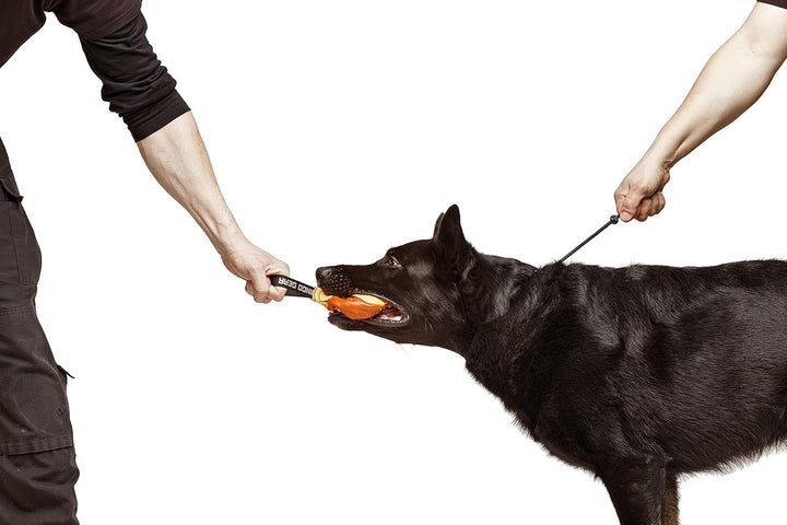 Dingo Gear Trainingshalsband für Hunde, sehr dünn, Starke Schnur, mit 1 Begrenzer, wasserdicht, lang