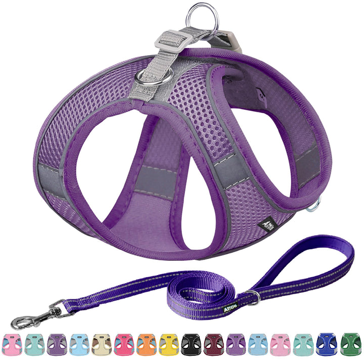 AIITLE Bequemes Hundegeschirr und Leine Set zum Gassi gehen - Step in Vest Harness, Reflektierende B