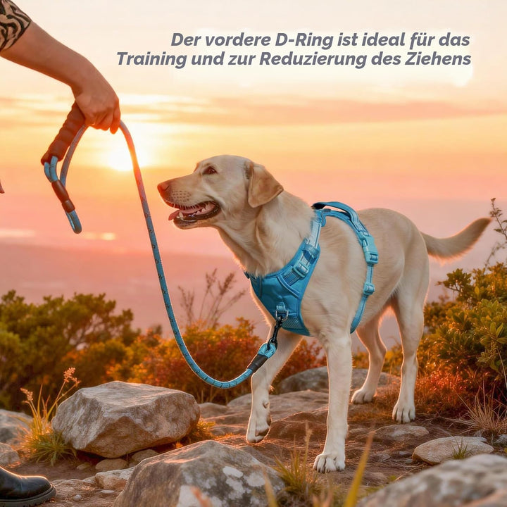 PoyPet Keine Pull Hundegeschirr, Reflektierendes Hundegeschirr für Hunde ohne Choke, Verstellbare, w