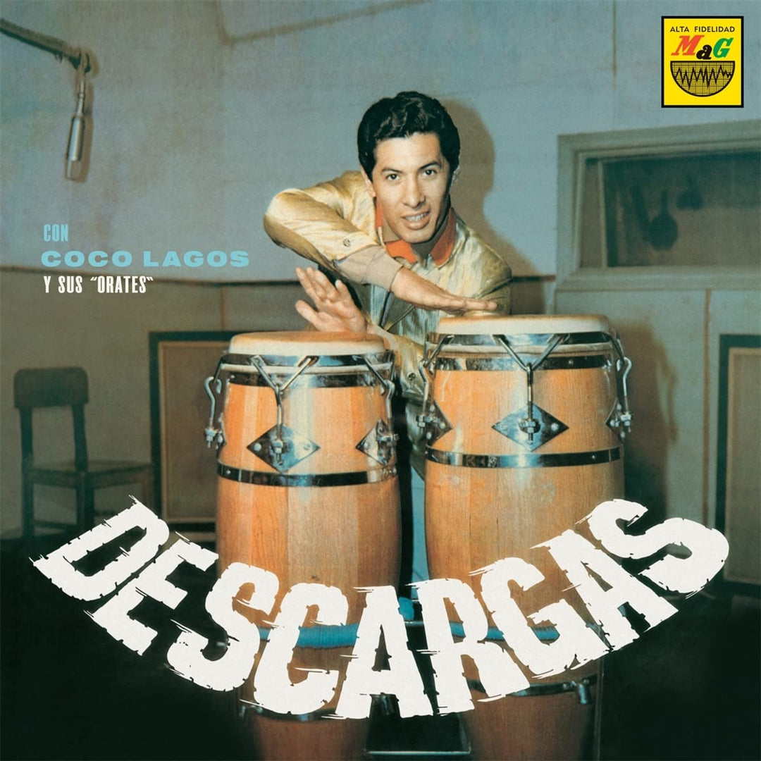 Descargas, Vinyl