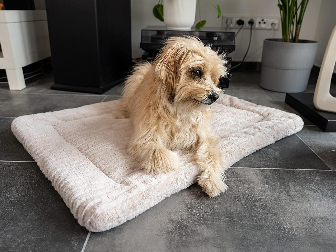 TrendPet Harmony 4cm gefütterte Hundedecke, Katzendecke, Liegedecke für Hunde und Katzen (Creme, 60x
