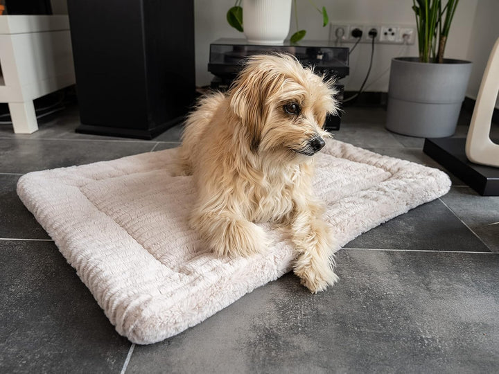 TrendPet Harmony 4cm gefütterte Hundedecke, Katzendecke, Liegedecke für Hunde und Katzen (Creme, 60x