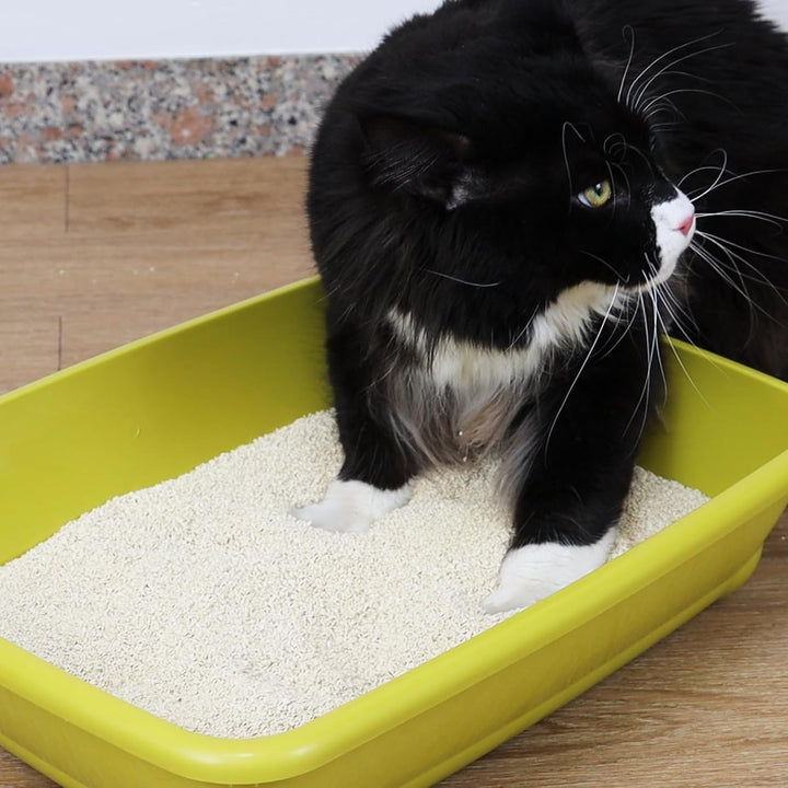 Croci Tofu Clean Katzenstreu, 10 l, Aktivkohle, klumpend, geruchshemmend, mit Aktivkohle, biologisch