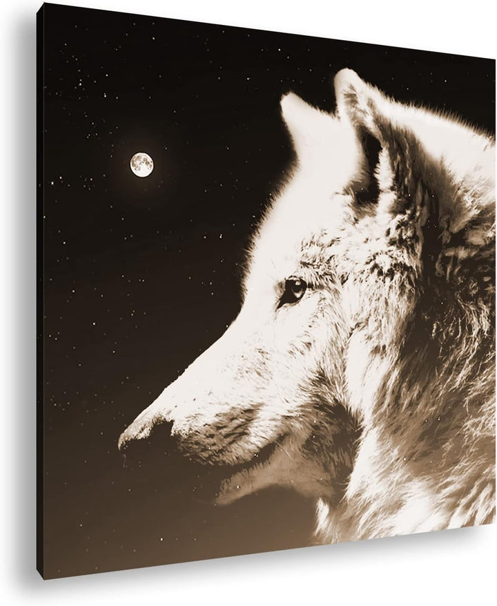 deyoli einsamer stolzer Wolf Format: 60x60 Effekt: Sepia als Leinwandbild, Motiv fertig gerahmt auf
