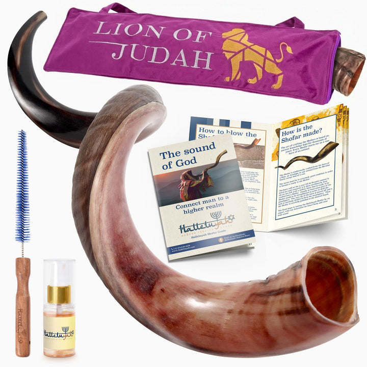 HalleluYAH Original koscher, halbpolierter Kudu Shofar aus Israel 35"-39", 35"-39"