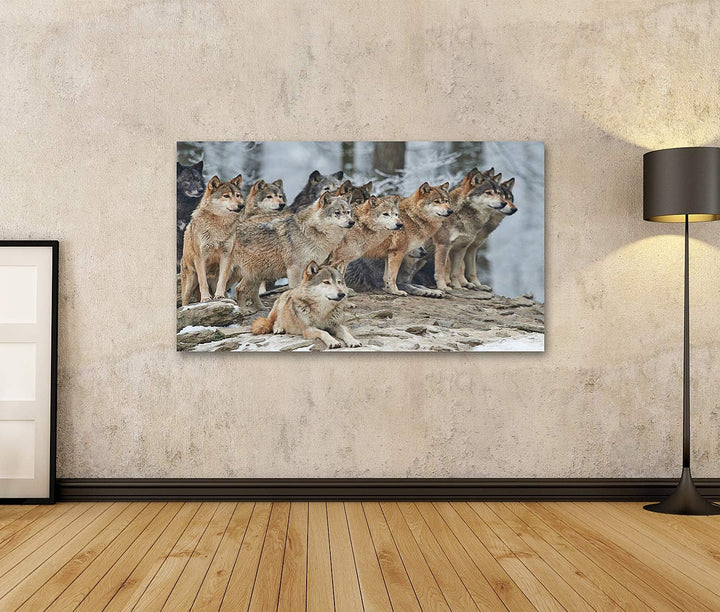 islandburner Bild auf Leinwand Rudel Wölfe Schnee Bilder Wandbilder Poster Leinwand 100x57cm, Leinwa