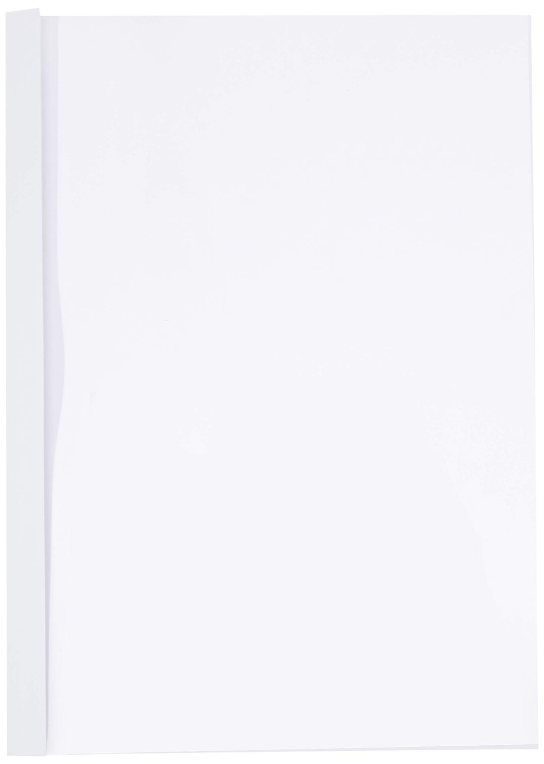 Leitz 177159 Thermobindemappe Standard, A4, Rückenbreite 3 mm, 100 Stück, weiss
