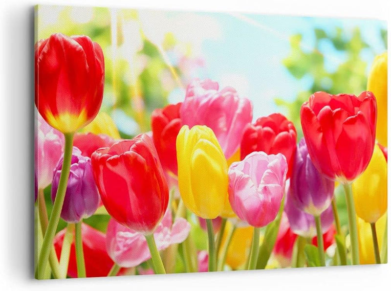 Bilder auf Leinwand 100x70cm Leinwandbild Tulpe Blume Garten Plantage Gross Wanddeko Bild Schlafzimm