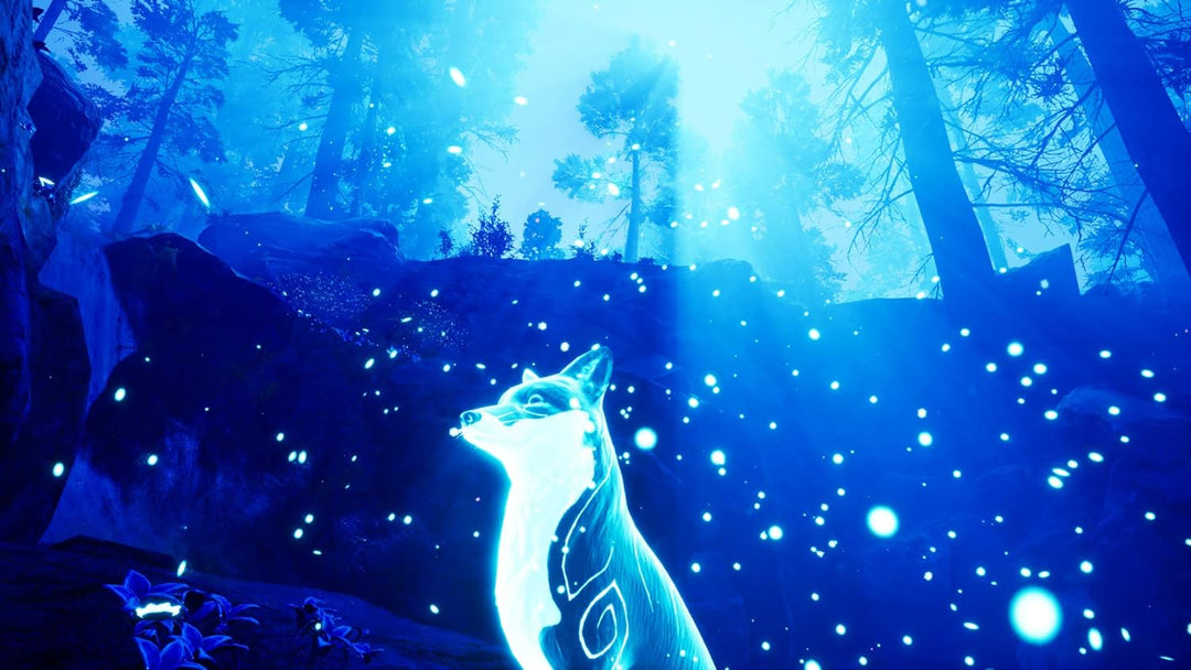 Wild River Spirit of the North - [Nintendo Switch] Nintendo Switch Single, Nintendo Switch Single