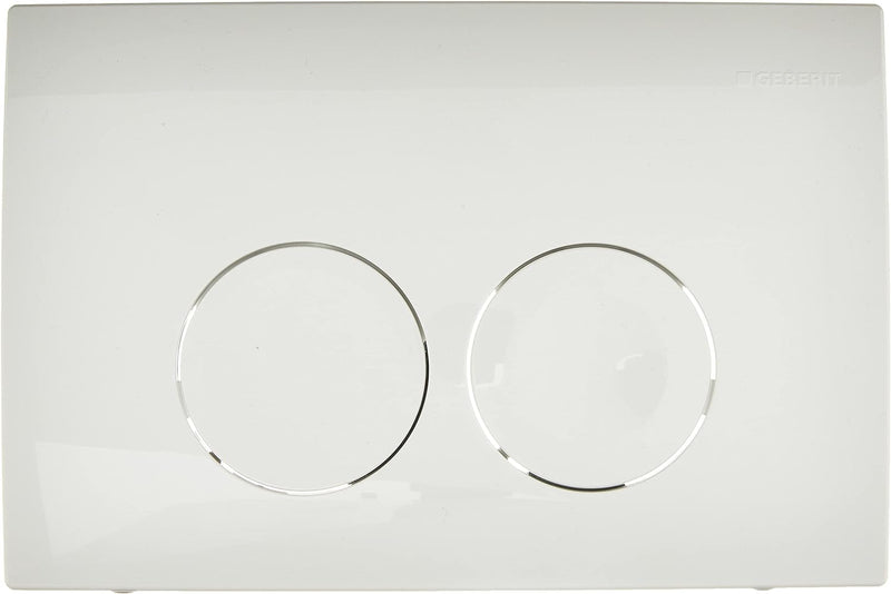 Geberit 115125111 Delta 21 Betätigungsplatte 115.125.111, Revisionplatte weiss, 245 x 165 x 14 mm, R