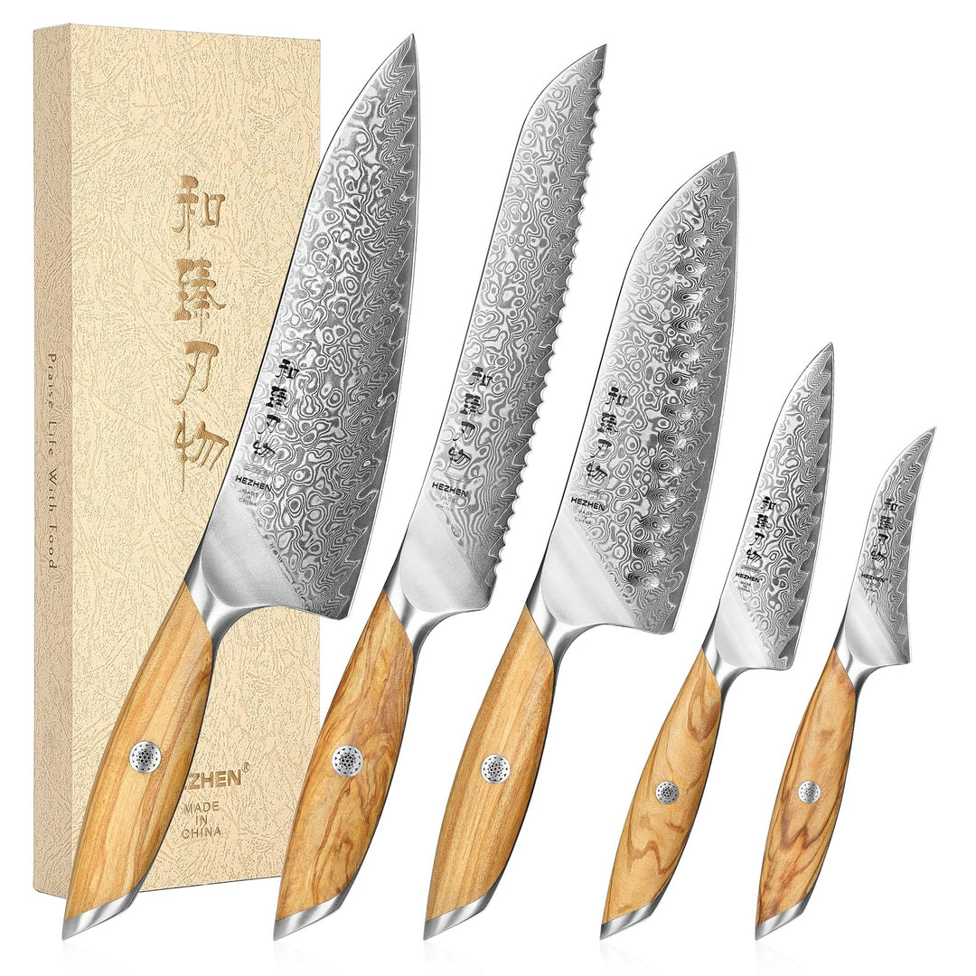 HEZHEN Damast Küchenmesser Set 5-Teilig, Professionelles Damaszener Stahl Kochmesser Set Santoku Mes