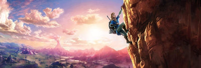 The Legend of Zelda: Breath of the Wild Nintendo Wii U Standard, Nintendo Wii U Standard