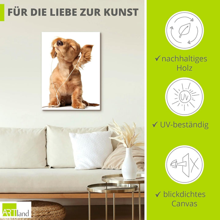Artland Leinwandbild Wandbild Bild auf Leinwand 60x80 cm Wanddeko Hund Tiere Musik Dackel Welpen Lus