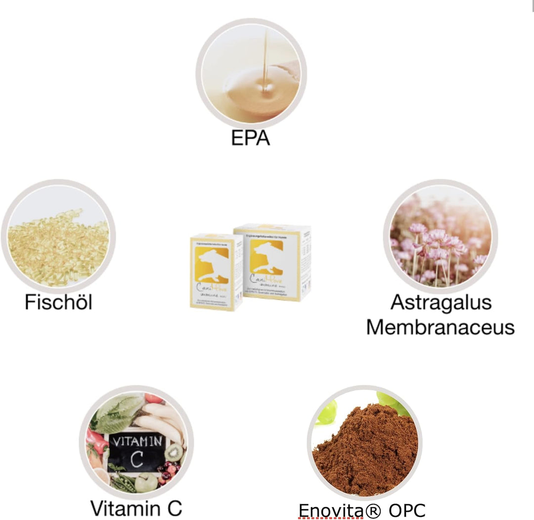 CaniMove Immune (ehemals EPA70) Mini &amp; Motion Mini - Das Kombipaket mit je 1 Packung für kleine Hund