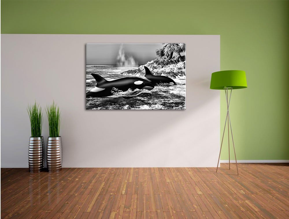 Pixxprint Monocrome, Orcas vor Insel, Format: 100x70 auf Leinwand, 100x70