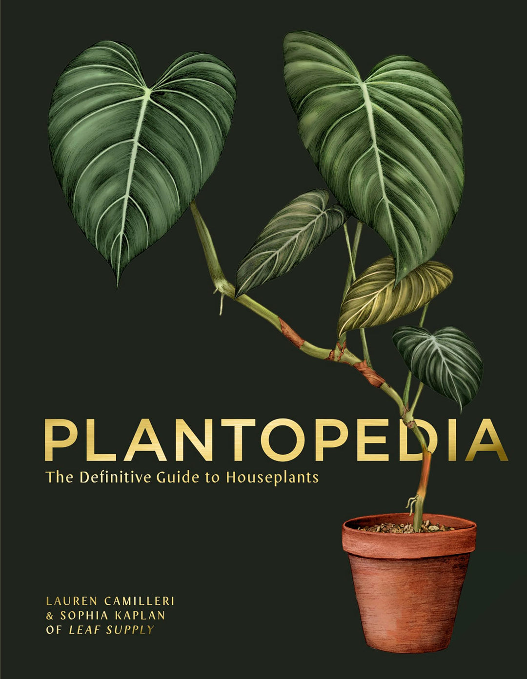Plantopedia: The Definitive Guide to House Plants, Gebundenes Buch