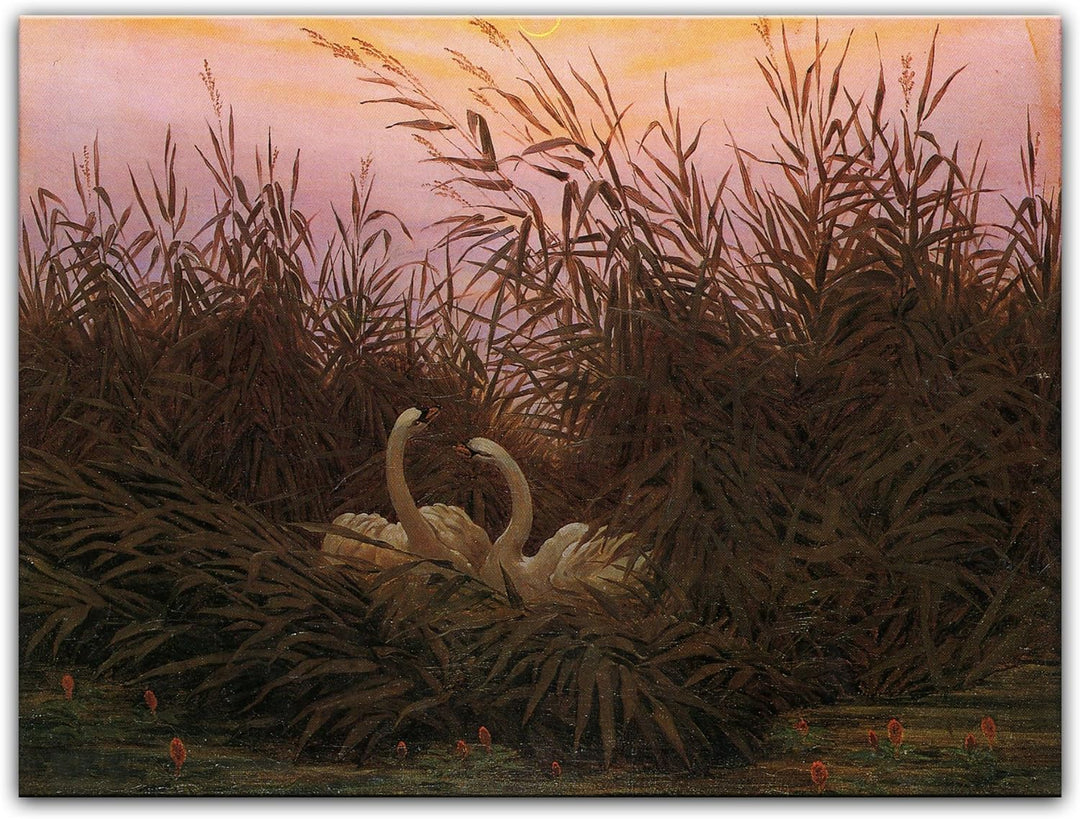 Bilderdepot24 Bild auf Leinwand | Caspar David Friedrich Schwäne im Schilf beim ersten Morgenrot in