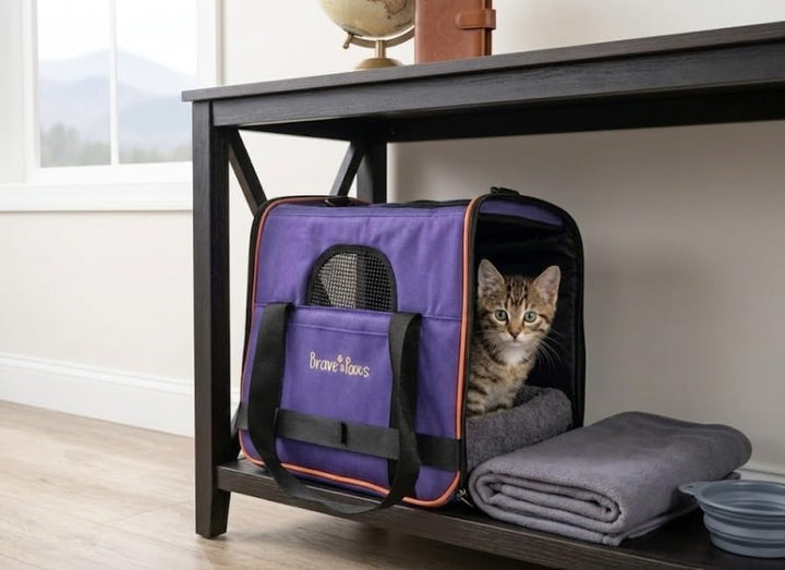 Brave Paws Tragetasche Haustier - Transporttasche Hund & Katze - Ideal für Katzen Transport & Hunde