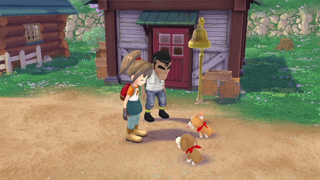 Story of Seasons: A Wonderful Life (PS5)