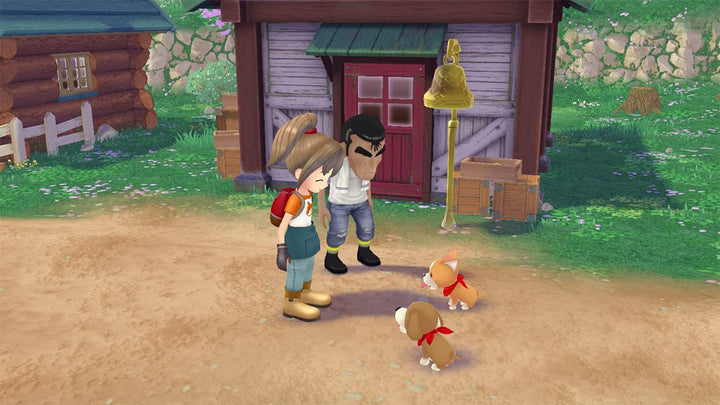 Story of Seasons: A Wonderful Life (PS5)