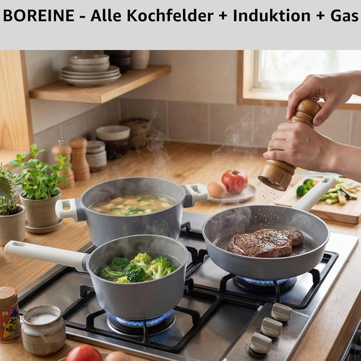 BOREINE Topfset Pfannenset 5-teilig, Bratpfanne 24cm Kochtöpfe 24cm Topf 18cm mit Deckel 18/24cm, An