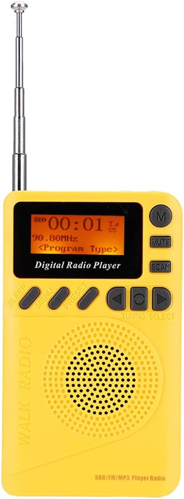 DAB Radio, Tragbares DAB Taschenradio, USB Stereo Radio mit 1,44 Zoll LCD Display, Lesegerät, MP3 Pl