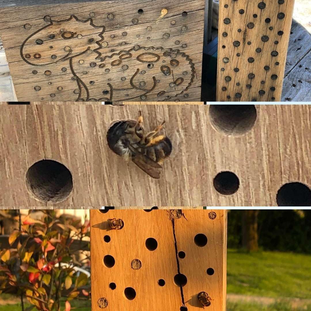 Insektenhotel Wildbienen Kinder Biene Nisthilfe Bienen Eiche Massivholz